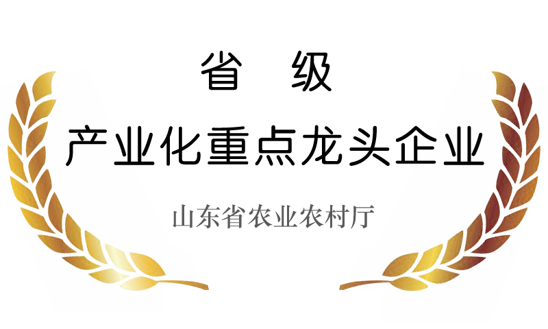  ɽ������ũ���Ƽ��ɷ����޹�˾ʡ����ҵ���ص���ͷ��ҵ 